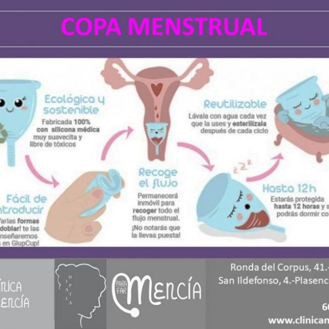 copa menstrual (2)